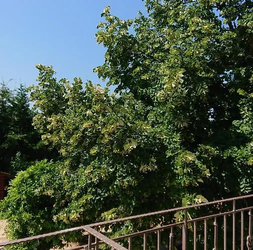 Apartman Stone House With Seaview Néa Potídea