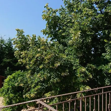 Apartman Stone House With Seaview Néa Potídea